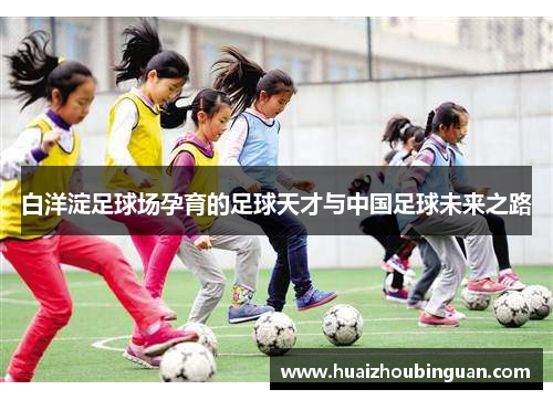 白洋淀足球场孕育的足球天才与中国足球未来之路